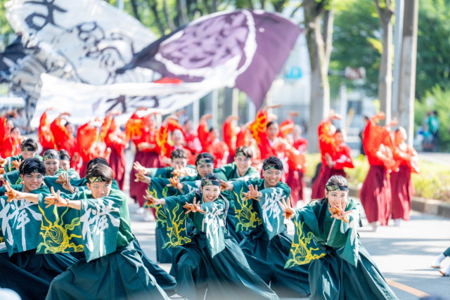 若欅（わかけやき）